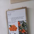 제주남원농협사업소 이미지