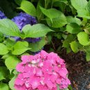 물무산행복숲둘레길 이미지