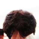 하트모 이미지