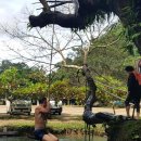 싱글해외여행동호회 2017년9월 라오스여행을 다녀왔어요 이미지