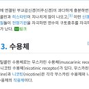 전범진 원형식 육시우 한남들 지면상에 숫자주입해댄다고 ㅋ 요도괄약근 아세탈콜린 미주신경 양자직류,생체전류까지 생체전류를 택하는 이유가있 이미지