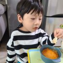 화정17호(별빛 어린이공원) | 10월3주차_육아와 일상 화정놀이터탐방 외