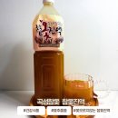 곡성군 산림과 | 청정곡성에서 키운 참옻|옻오르지않는 곡성참옻 참옻진액