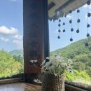 숲속오두막 | 포항 카페 추천 :: 숲속 오두막 감성 힐링 카페, 선류산장 방문후기 🌿🍵