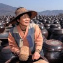 매화랜드 앞 이미지