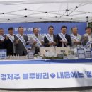 여의도블루베리