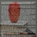 세계시민교육1급 이미지