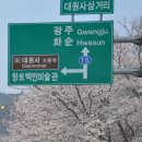 090404-05 10편 보성 천봉산 대원사 이미지