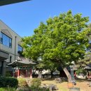 카네기비즈니스호텔 이미지