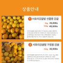 서호리감귤밭