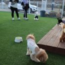 카페37.5(cafe37.5) 이미지