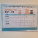 봄날동물병원 네이버블로그