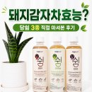 DNJ | 돼지감자차효능 알아보다 마셔본 오리진케어 당쉼 3종 후기