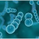 유본한의원 이미지