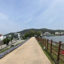 신정호수공원 횡단보도(주차장 건너편) | 아산 신정호수 둘레길 5월 산책 셀렉토커피 아산신정호점 카페 후기