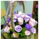 여성M파크 산후조리원 이미지