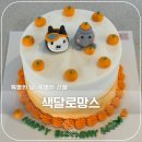 🎂제주 주문제작 케이크 맛집 '색달로망스'｜서귀포 케이크 주문제작 완벽 후기