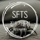 지혜내과의원 네이버블로그