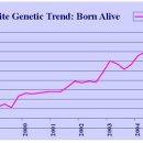 피그플러스 이미지