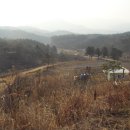 둔내목장 이미지