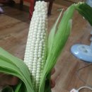 홍천냉동 이미지