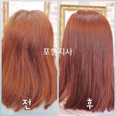 큐사랑염색 이미지