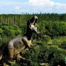 공룡민박 이미지