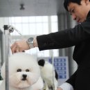 김형종 카카오 검색결과