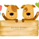 김해동물메디컬센터 이미지