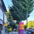 전으로 통하는 문화 이미지