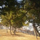 세구지공원 Daum카페