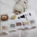 댕구상점 이미지