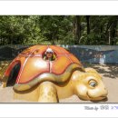 거북이집 이미지