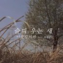 아웃사이더 카카오 검색결과