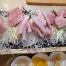미미참치 이미지