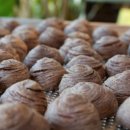 토란식당 이미지