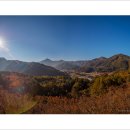 바다정원 이미지