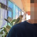 제주언니 | 제주 서귀포해물라면 모모언니 해물라면 안덕면맛집