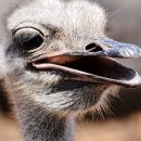 파인빌 파3골프장 이미지