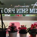 김신프로헤어