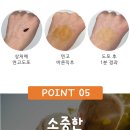 ▶흉터연고 레피젤◀ 3개 30,000원 →27,000원+이지덤1장+신신밴드8P 3개 이미지