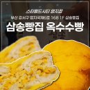 명지 맛집 스타필드 삼송빵집 옥수수빵