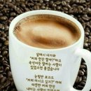 묘연 이미지