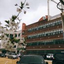 용화여자고등학교 이미지