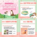 전곡터미널 주차장 | 연천구석기축제 주차장 • 입장료 • 체험존까지 알짜 정보 모음