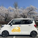 댕이요 펫택시 이미지