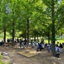 올해의 도시숲 선정 구미 서울 영천 인천 등 5곳 이미지