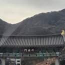 약초와 건강 | 경남 산청 맛집 약초와버섯골식당 후기 | 약초와버섯샤브샤브 노루궁뎅이버섯 샤브샤브 맛집 추천 내돈내산