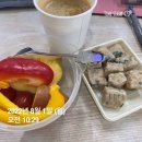 검배로2L | [다이어트 식단] 바디프로필 하면서 먹었던 식단 + 꼭 지켰던 꿀팁 프로틴바 추천