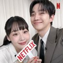 태풍소프트 이미지